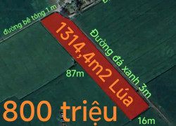 Bán gấp lô đất lúa hai mặt tiền xã Đức Tân giá 800 triệu