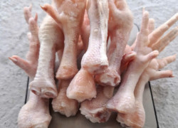 Báo Giá Chân Gà Đông Lạnh – Giao Nhanh Tận Nơi