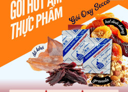 Gói Hút Ẩm Thực Phẩm - Gói Chống Mốc Bảo Quản 30cc 50cc