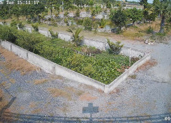 Bán Nhà Vườn 12.000m2, Giá 31 Tỷ, Kênh 12, Xã Lê Minh Xuân Bình Chánh TPHCM