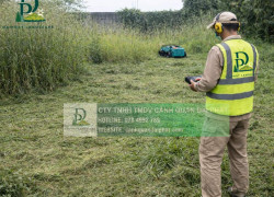 Dịch vụ cắt cỏ, chăm sóc cỏ cảnh quan kcn Nhơn Trạch Đồng Nai