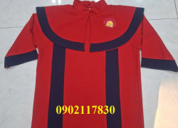 Thuê Áo Cử Nhân Tiểu Học LONG AN rẻ đẹp