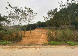 GIÁ CHẠM ĐÁY CHO CÁC NHÀ ĐẦU TƯ, CHỈ 216TR/M MẶT ĐƯỜNG TL413