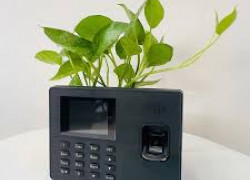 Máy chấm công vân tay ZKTECO W666 Plus