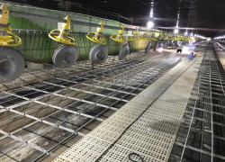 Trang trại tuyển cặp vợ chồng hoặc nam LĐPT phụ việc chăn nuôi vịt