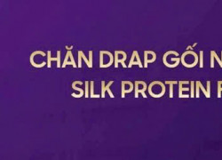 CTY CHĂN GA GỐI SAMY tuyển nam NV chần chăn ga làm tại Tân Phú