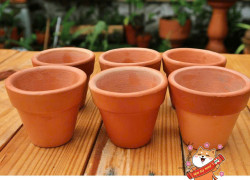 Tuyển 10 NAM NV đóng gói chậu gốm làm tại Bình Dương