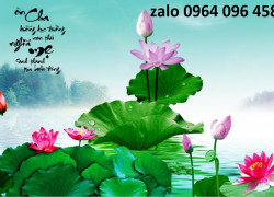 Tranh gạch 3d ốp tường tranh hoa sen - SXC68