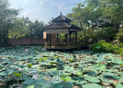 SIÊU PHẨM đất nhà vườn - mặt tiền sông Đồng Nai chỉ 10 triệu/m2 Long Phước, Thủ Đức