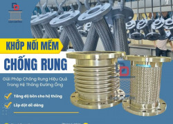 Khớp nối mềm giảm chấn inox, khớp nối mềm máy nén khí, khớp nối giảm chấn máy phát điện, mối nối mềm