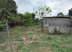 Mảnh đất nghỉ dưỡng bám suối, nước chảy róc rách quanh năm thôn Cua Chu, Tản Lĩnh, Ba Vì, Hà Nội.