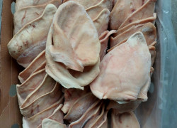 Tai lợn nhập khẩu sạch chuẩn an toàn thực phẩm