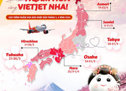 Lịch nở hoa anh đào Nhật Bản 2026 – Gợi ý hành trình bay cùng Vietjet