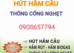 Hút hầm cầu, thông tắc cống