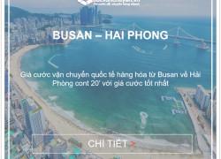Giá cước tàu biển từ Busan về Hải Phòng