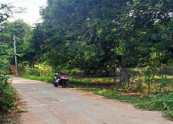 Bán Gấp 513 m² đất vườn, Full hồng, Phường Bảo Vinh- Long Khánh, Đồng Nai.