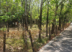 CẦN BÁN QUỸ ĐẤT LỚN 3 MẶT TIỀN NGAY SAU LƯNG CHỢ ĐỊNH HIỆP – DẦU TIẾNG