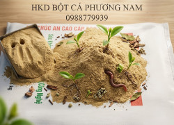 Bột cá – giải pháp tối ưu cho sản xuất phân bón hữu cơ