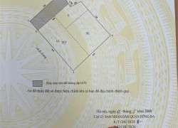 ĐỘC BẢN DI SẢN - VỊ THẾ GIA TỘC TRƯỜNG TỒN