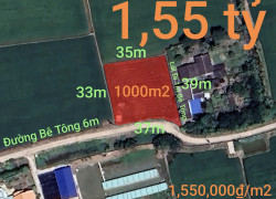 Bán lô đất lúa chuyển thổ đường bê tông 6m giá 1,55 tỷ