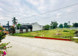 RA NHANH LÔ ĐẤT CHÍNH CHỦ TRỤC CHÍNH ĐƯỜNG 7m5 - Giá chỉ nhỉnh 1tyxx