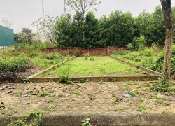 BÁN ĐẤT PHÚ CÁT, QUỐC OAI 100 M2 Full THỔ CƯ, ĐỪNG Ô TÔ TẢI TRÁNH, GIÁ 25 TR/M2