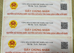 Chính chủ bán đất thổ cư xã Phước Hậu, huyện Long Hồ, tỉnh Vĩnh Long.
