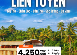 Check-in Phú Yên: Mũi Điện đón bình minh – Vũng Rô xanh ngọc – Hoa vàng thơ mộng
