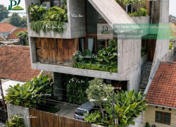 Cung cấp cây xanh & thi công cảnh quan ban công – sân vườn – biệt thự