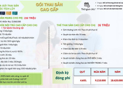 Tìm Đại lý tư vấn bảo hiểm nhân thọ và sức khỏe uy tín tận tâm tại quận 2 TPHCM