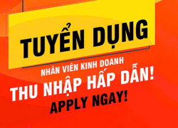 THÁI DƯƠNG SUNFOOD tuyển NVKD làm tại Bình Thạnh
