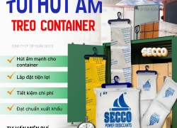 Giải pháp chống ẩm mốc chuyên dụng cho Container nông sản xuất khẩu