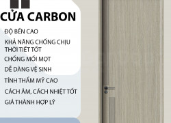 CỬA ĐẸP CỬA GỖ CARBON