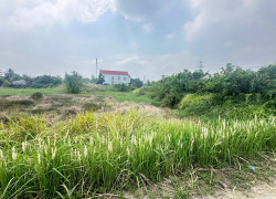 Bán đất mặt tiền đường Rừng Sác , đối diện cây xăng Hiệp Quế , Bình Khánh, Cần Giờ