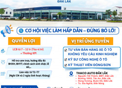 Tuyển dụng Tư vấn bán hàng xe ô tô - Showroom ô tô KIA, MAZDA, Tải bus Buôn Hồ