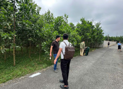 🔥 2xx tr – lô đất “thật việc”, không phải hàng quảng cáo