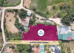 Siêu Phẩm 1.149m² Tam Đảo – Mặt Tiền 55m Cực Hiếm, Đầu Tư Là Thắng