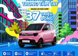 MINIO GREEN - KHỞI NGHIỆP TRONG TẦM TAY