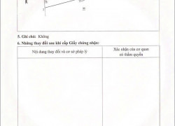 CƠ HỘI “GIÁ XUỐNG” KHÔNG THỂ BỎ LỠ