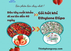 🍌 GÓI HÚT KHÍ ETHYLENE TIPO CHO TRÁI CÂY – NÔNG SẢN 📦