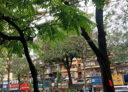 Bán liền kề Láng Hạ,Giarng Võ dt110m2, mặt tiền rộng 7,5  tầng, vị trí đẹp hàng hiếm