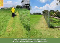 Cắt Cỏ Phát Hoang Tại Đồng Nai & TP.HCM