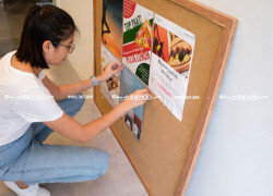 BẢNG GHIM BẦN TREO TƯỜNG BAVICO – ĐA NĂNG PRO