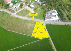 Cần bán 450m2 đất thổ cư SHR mặt đường nhựa Nguyễn Văn Dư nền cao (Bình Lãng Tân Trụ cũ)