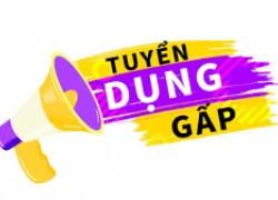 TUYỂN DỤNG LAO ĐỘNG PHỔ THÔNG