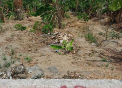 CHÍNH CHỦ BÁN ĐẤT KHU DÂN CƯ BÀ XÁN - DT100M2  - SHR - 21 TRIỆU/ M2. LH:0932234469