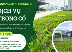 Trồng Cỏ Trên Sân Thượng Tại Long Thành, Biên Hoà, Đồng Nai,TP.HCM