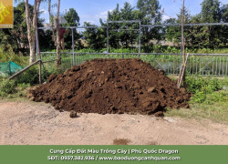 Mua Đất Màu Chất Lượng Tại TP.HCM & Đồng Nai