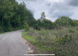 HOT - BÁN GẤP LÔ ĐẤT 702m² XÃ LONG NGUYÊN, BÀU BÀNG, BÌNH DƯƠNG – GIÁ CHỈ 1 TỶ 250, BAO SANG TÊN