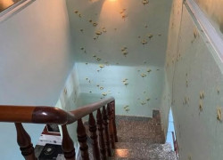 Bán Nhà Khu Vực Tân Bình - Đường Trương Công Định - 40m²/ 2 tầng - Sổ Nở Hậu - Oto Đổ Cửa - Nhỉnh 4 tỷ (TL)